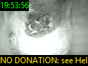 19:53:56