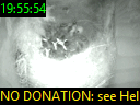 19:55:54