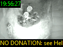 19:56:27