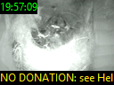 19:57:09