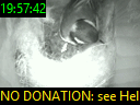 19:57:42