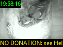 19:58:16