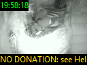 19:58:18