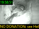 19:58:51
