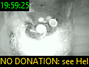 19:59:25