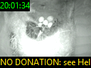 20:01:34