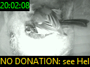 20:02:08