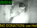 20:02:42