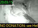 20:03:15