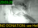 20:03:20