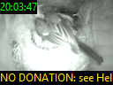 20:03:47