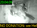 20:04:09