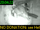 20:04:22