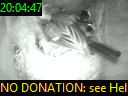 20:04:47