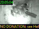 20:05:04
