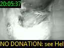 20:05:37
