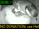 20:06:11
