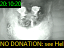 20:10:20