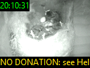 20:10:31