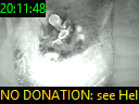20:11:48