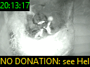 20:13:17