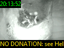 20:13:52