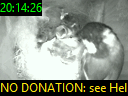 20:14:26