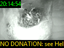 20:14:54
