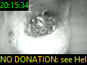 20:15:34