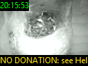20:15:53