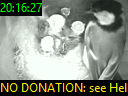 20:16:27