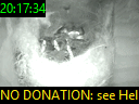 20:17:34