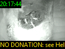 20:17:44