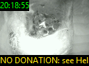 20:18:55