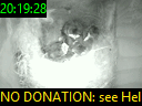 20:19:28