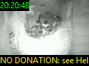 20:20:48