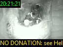 20:21:21