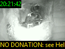 20:21:42