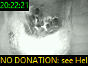 20:22:21