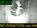 20:22:55
