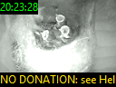 20:23:28