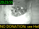 20:23:55