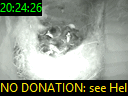 20:24:26