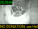 20:26:04