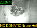 20:26:48