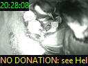 20:28:08