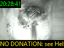20:28:41