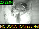 20:29:04