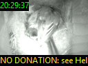 20:29:37