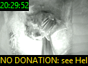 20:29:52